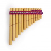 Percussion Plus antara 13...