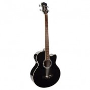Richwood acoustic bass guitar